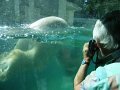 24 - Unterwasseraufnahmen waren nicht leicht